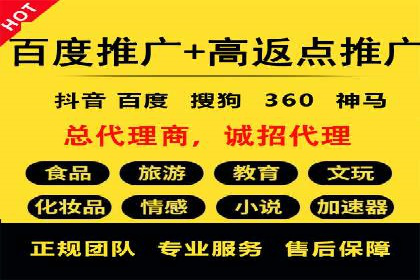 竞价托管与SEO结合的案例分析